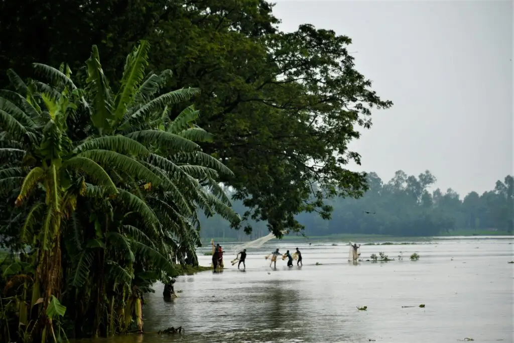 Michigan and Ohio flood insurance claims